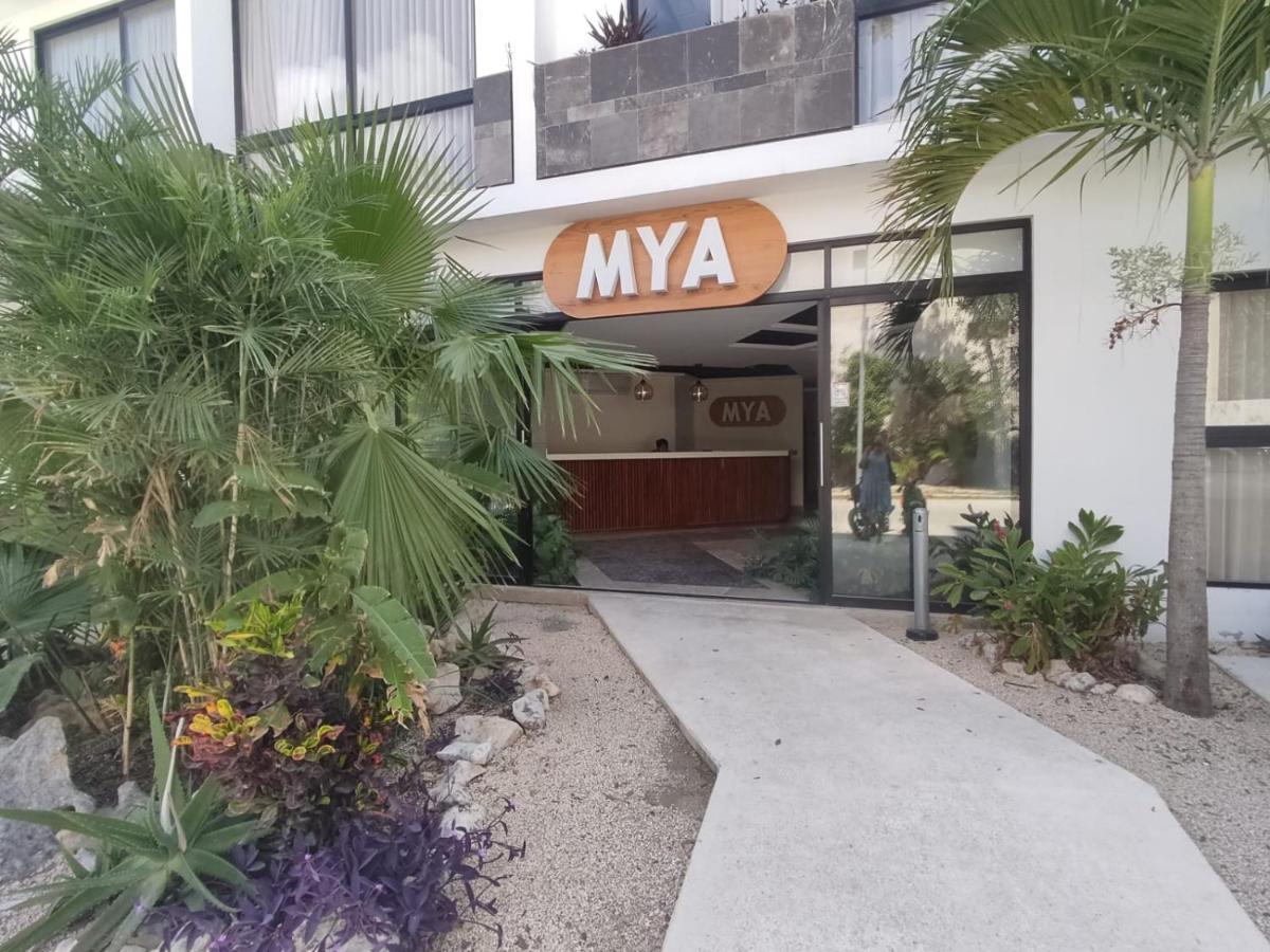 Nuevo Estudio Con Terraza Totalmente Equipado Tulum Aldea Zama Экстерьер фото
